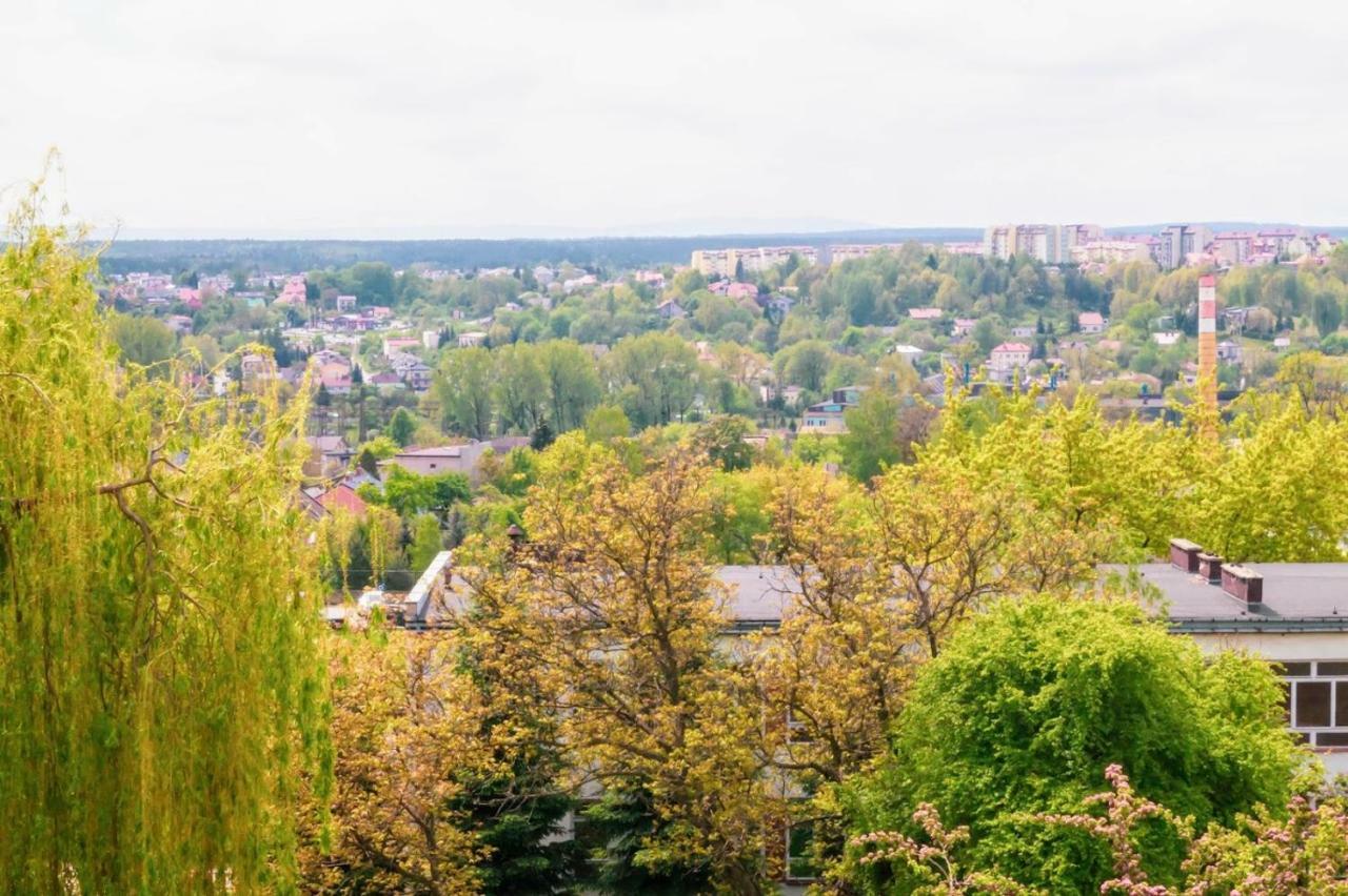 Alma Apartments Starachowice Kültér fotó